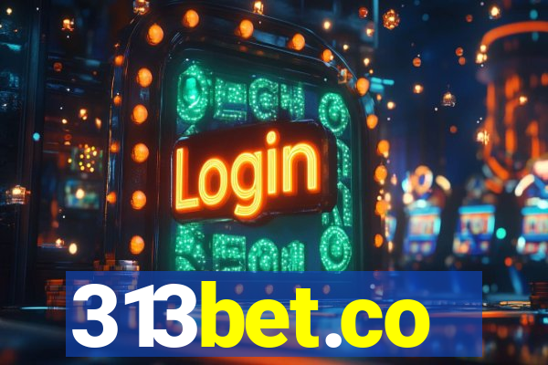 313bet.co