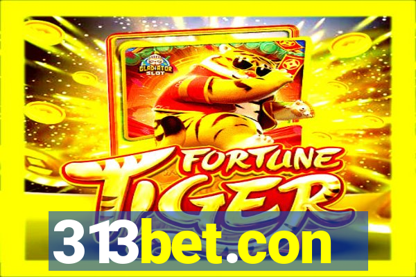 313bet.con
