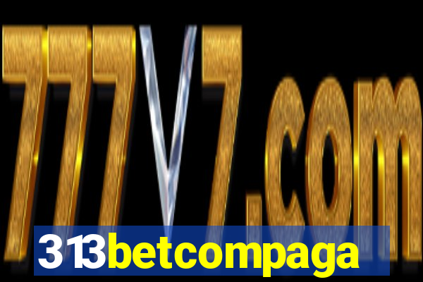 313betcompaga
