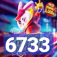 6733