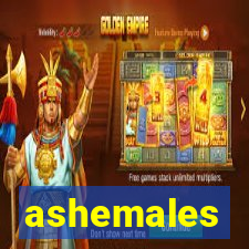ashemales