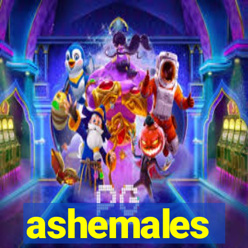 ashemales