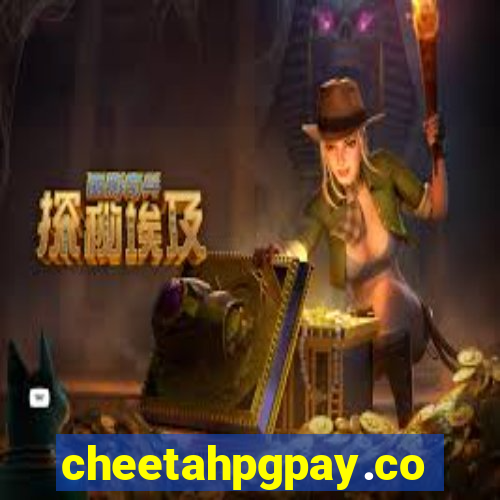 cheetahpgpay.com
