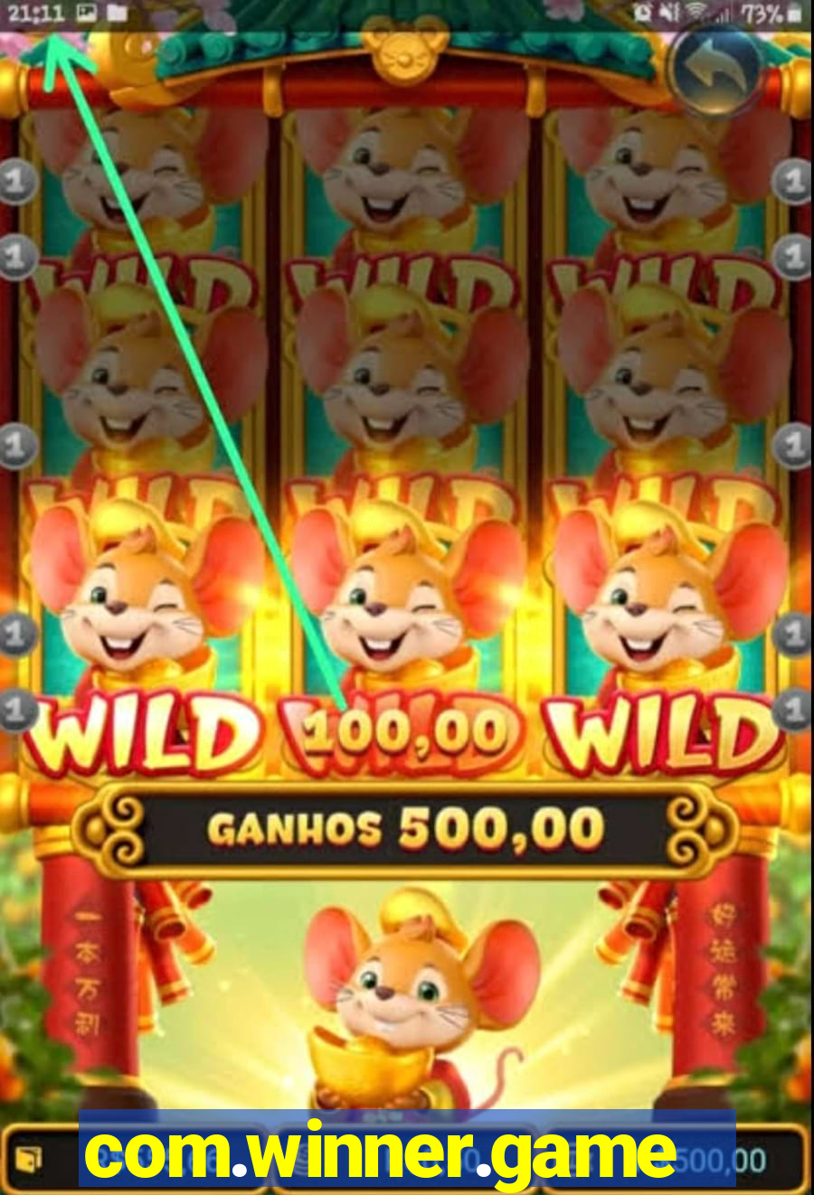 com.winner.game
