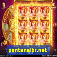 pantanalbr.net