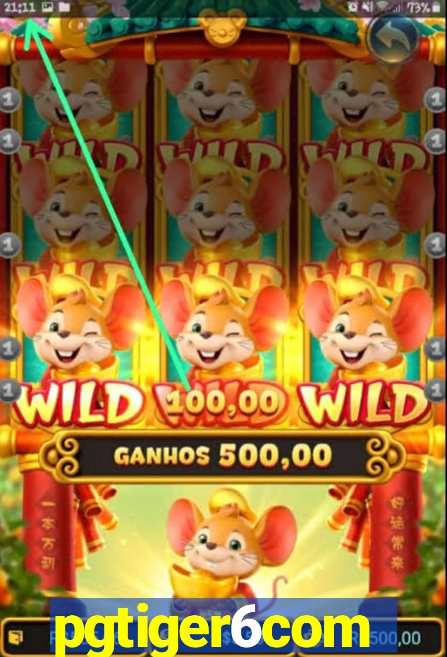 pgtiger6com