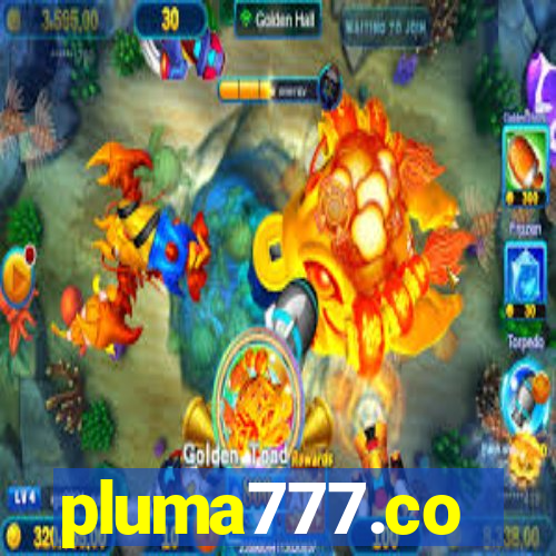 pluma777.co