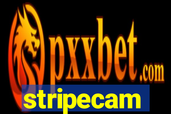 stripecam