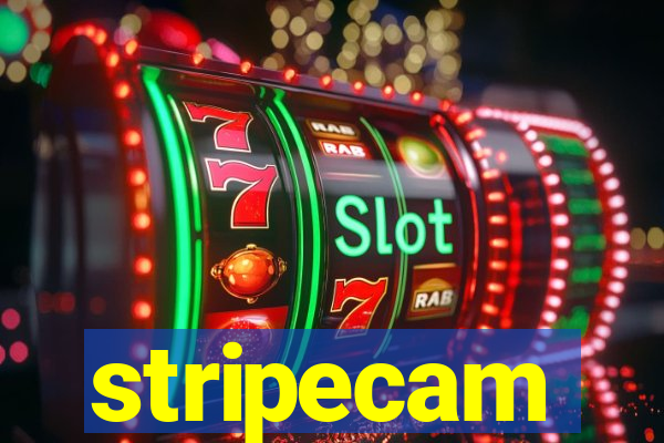 stripecam