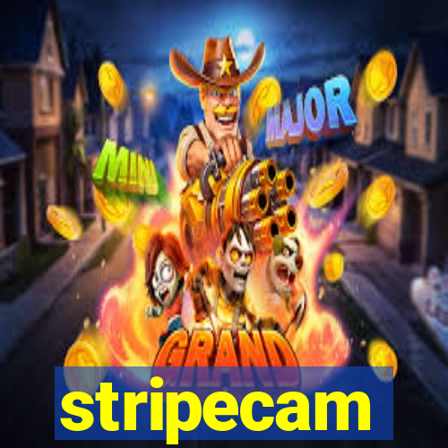 stripecam
