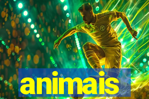 animais-pg.com