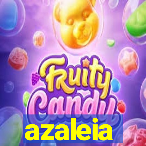 azaleia-br.com