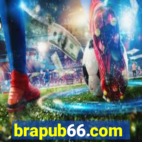 brapub66.com