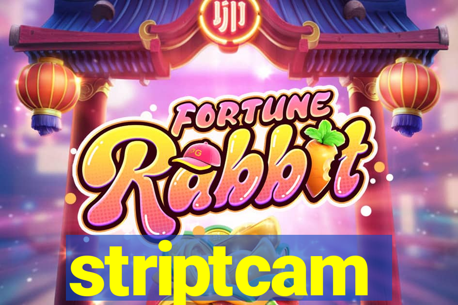 striptcam