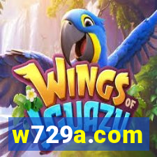 w729a.com