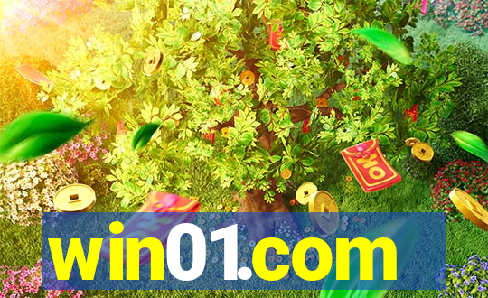 win01.com